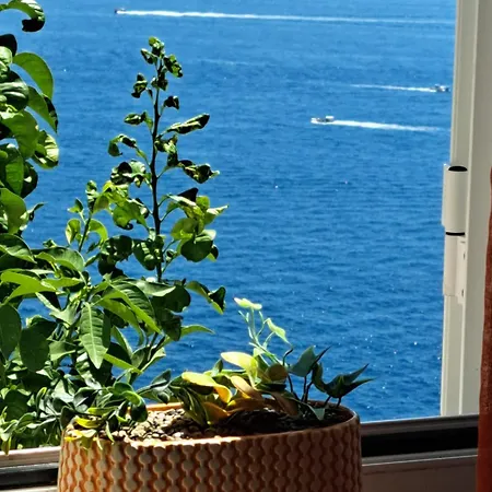 La Caletta-praiano Сasa de vacaciones