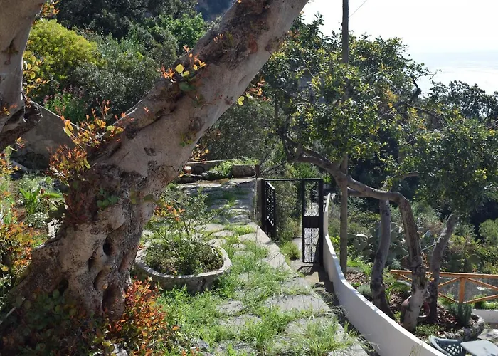 La Caletta-praiano 別荘 *